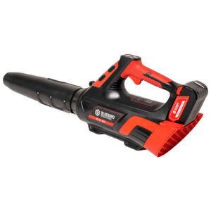 Blower BL 22-300